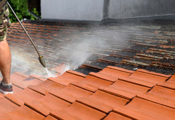 Best Garage Pressure Washing  in Loma, CO