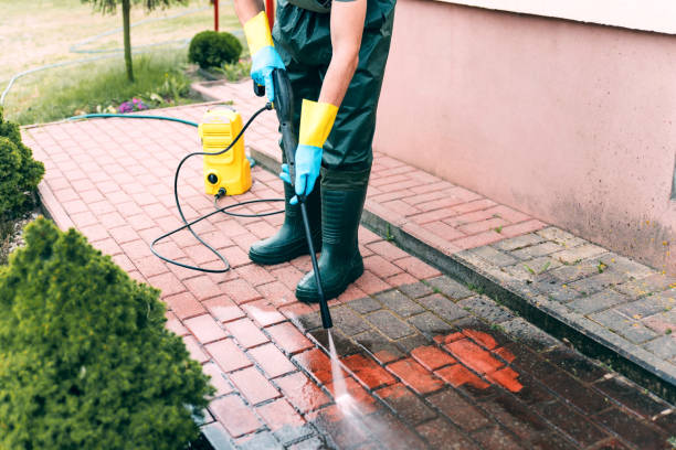 Professional Pressure Washing in Loma, CO