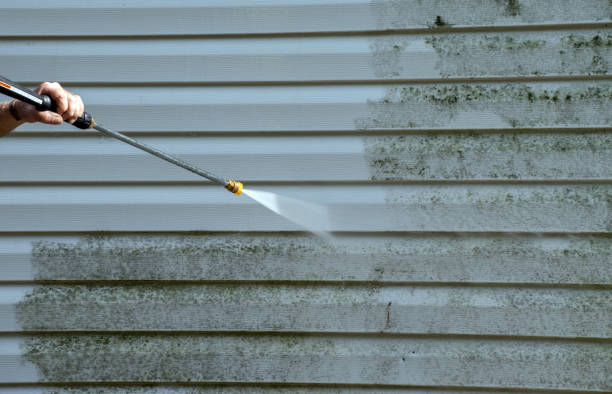 Best Roof Pressure Washing  in Loma, CO