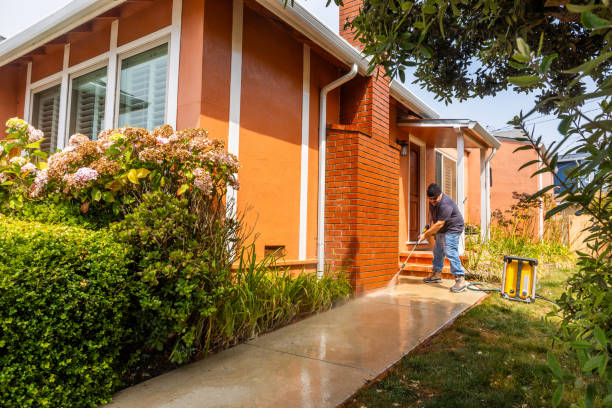 Best Affordable Pressure Washing  in Loma, CO