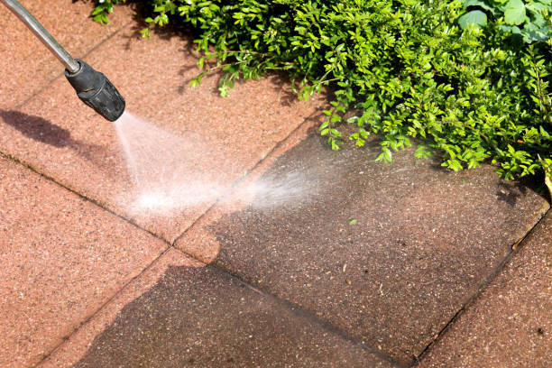 Best Commercial Pressure Washing  in Loma, CO